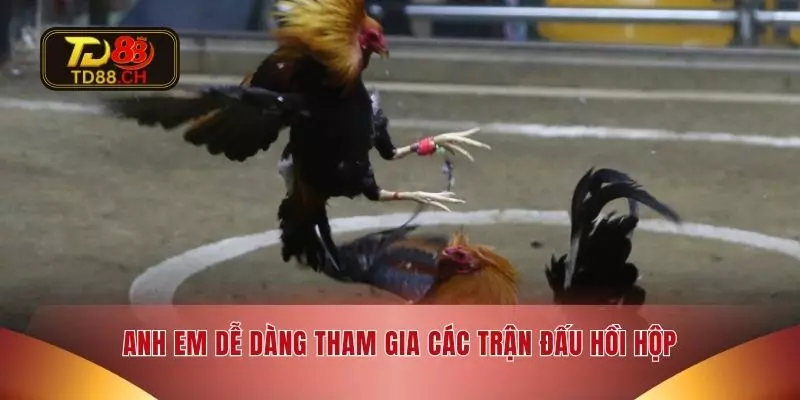 Anh em dễ dàng tham gia các trận đấu hồi hộp