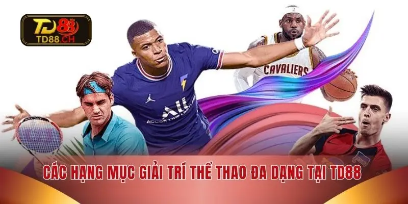 Các hạng mục giải trí thể thao đa dạng tại TD88