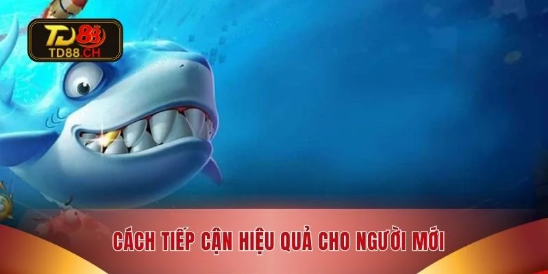 Cách tiếp cận hiệu quả cho người mới