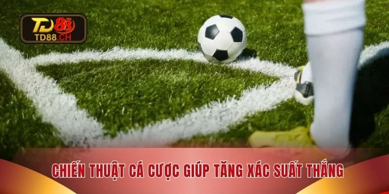 Chiến thuật cá cược giúp tăng xác suất thắng