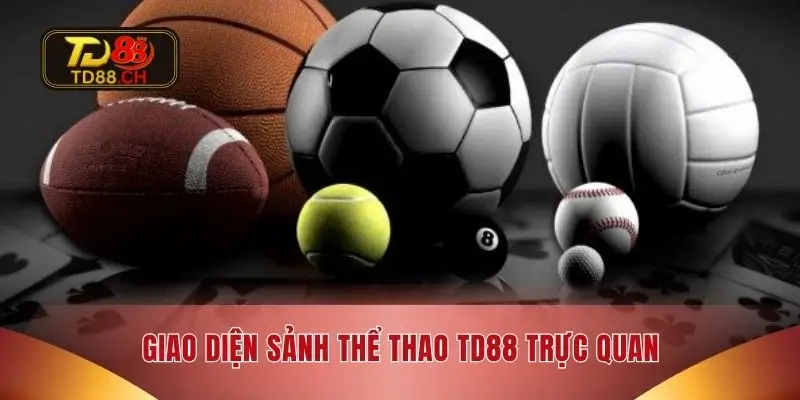 Giao diện sảnh thể thao TD88 trực quan