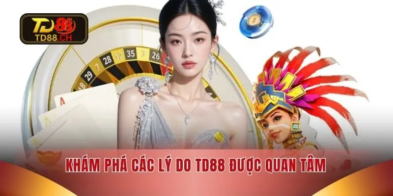 Khám phá các lý do TD88 được quan tâm