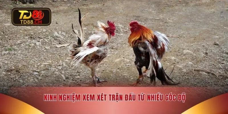 Kinh nghiệm xem xét trận đấu từ nhiều góc độ