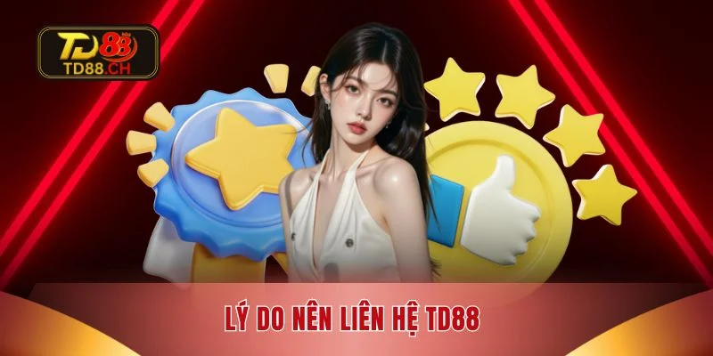 Lý do nên liên hệ TD88