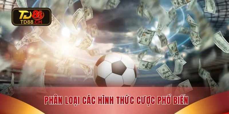 Phân loại các hình thức cược phổ biến