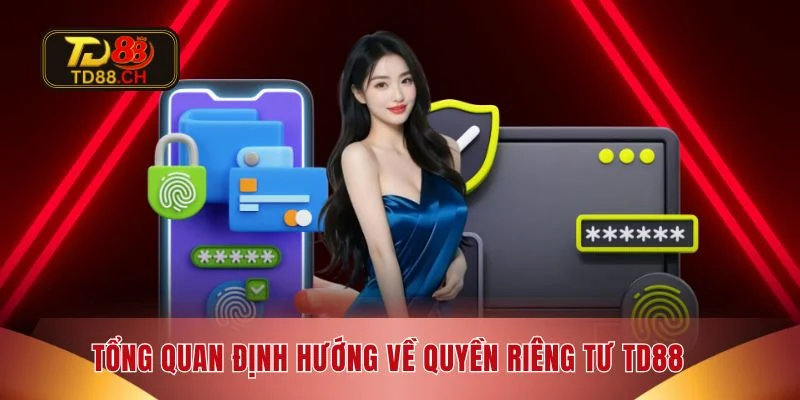 Tổng quan định hướng về quyền riêng tư TD88