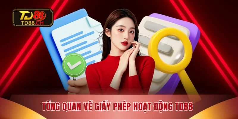 Tổng quan về giấy phép hoạt động TD88